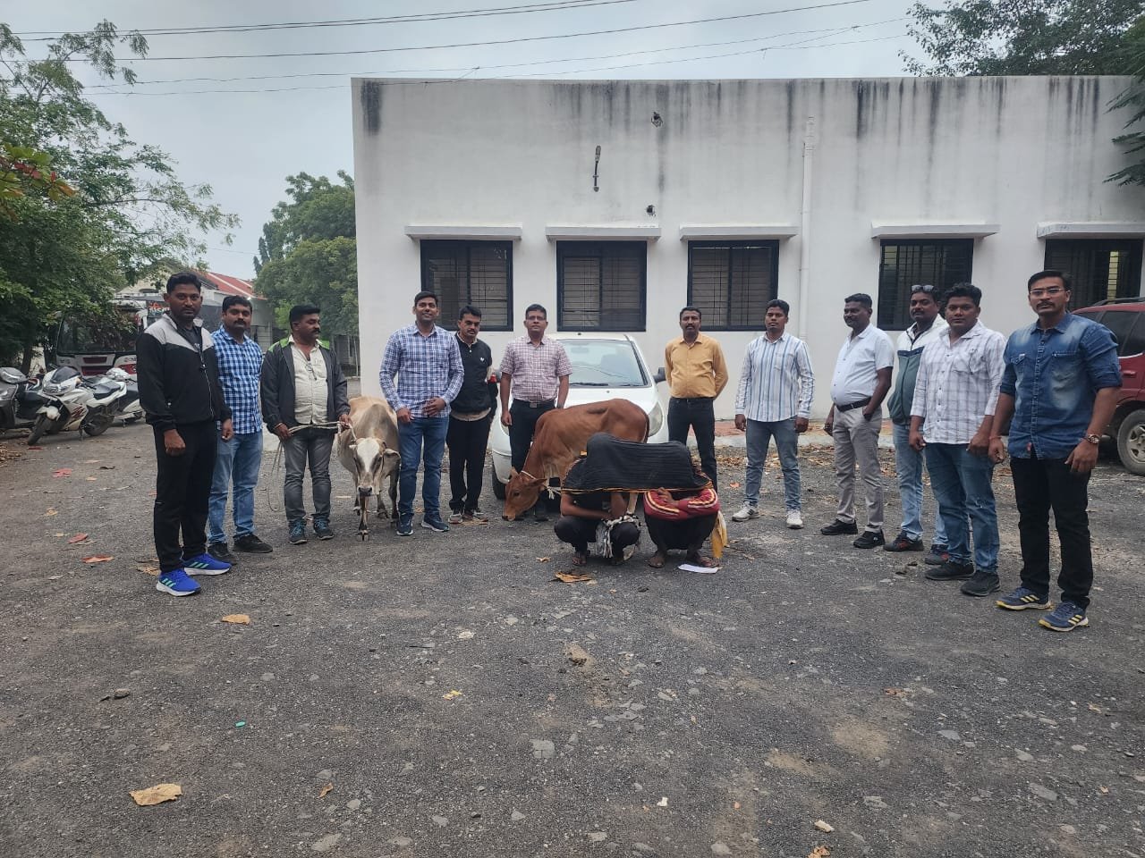 पातुर परिसरात गोवंश चोरी करणारी टोळी स्थानिक गुन्हे शाखेने पकडली दोन लाख 27हजार 700 रुपयांचा माल जप्त