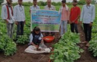 कृषी दूतांनी शेतकऱ्यांना दिले मातीपरीक्षनाची धडे