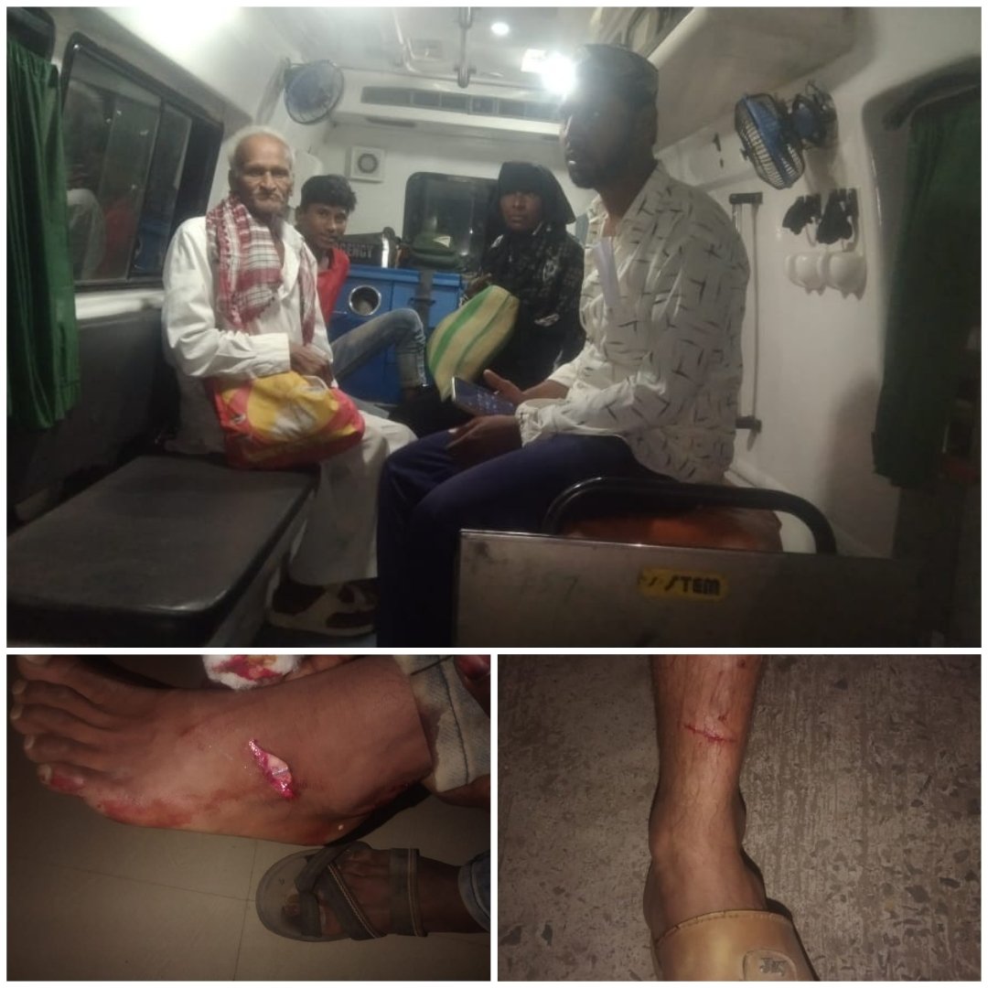 एक नव्हे दोन नव्हे सत्त वीस नागरिकांना पिसाळलेल्या कुत्र्याने घेतले चावा.
