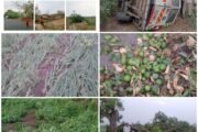 पातूर तालुक्यातवादळी पावसाचा तडाखाअनेक गावातील झाडे पडली उन्मळुन,