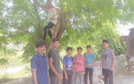 शाळेच्या सुट्ट्यांमध्ये चिमुकल्यांचा अभिनव उपक्रम