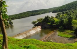 पातुर शहरात पाण्याची भीषण टंचाई ! विहिरीने गाठले तळघर , पातुर तलावातून पाणी सोडण्याची मागणी