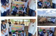 कृषीच्या विद्यार्थ्यांकडून शेतकरऱ्याना बीज प्रक्रिया बाबत मार्गदर्शन