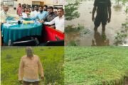 पातुर परिसरात ढगफुटीने शेतकऱ्यांचे अतोनात नुकसान ! पातुर शहर शिवसेना यांचे आंदोलन