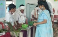 पातुरच्या किड्स पॅराडाईजमध्ये रानभाजी महोत्सव