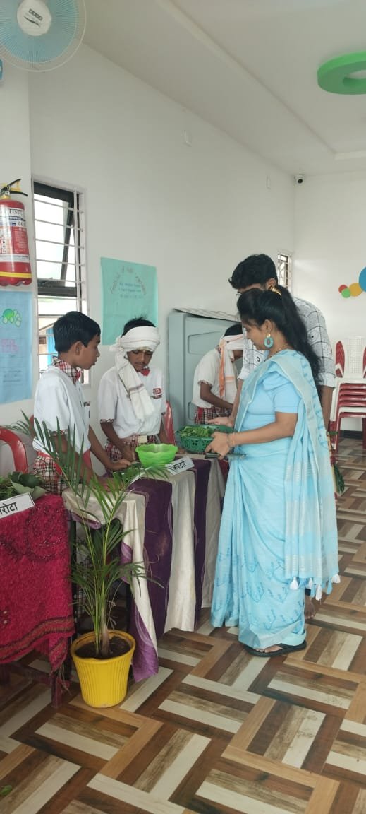 पातुरच्या किड्स पॅराडाईजमध्ये रानभाजी महोत्सव