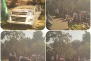 पातुर येथील जुने बस स्थानक येथे महाकाय वृक्ष महामार्गावर कोसळला