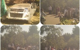 पातुर येथील जुने बस स्थानक येथे महाकाय वृक्ष महामार्गावर कोसळला