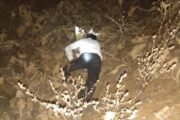 पैशाचा पाऊस पाडण्याकरिता अघोरी विद्येचा उपयोग, सावरखेड येथे एकाचा मृत्यू