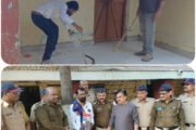 पोलीस स्टेशनमध्ये आला विषारी नाग !