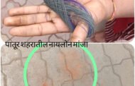 पातुर शहरात नायलॉन मांजाची मोठ्या प्रमाणात विक्री !