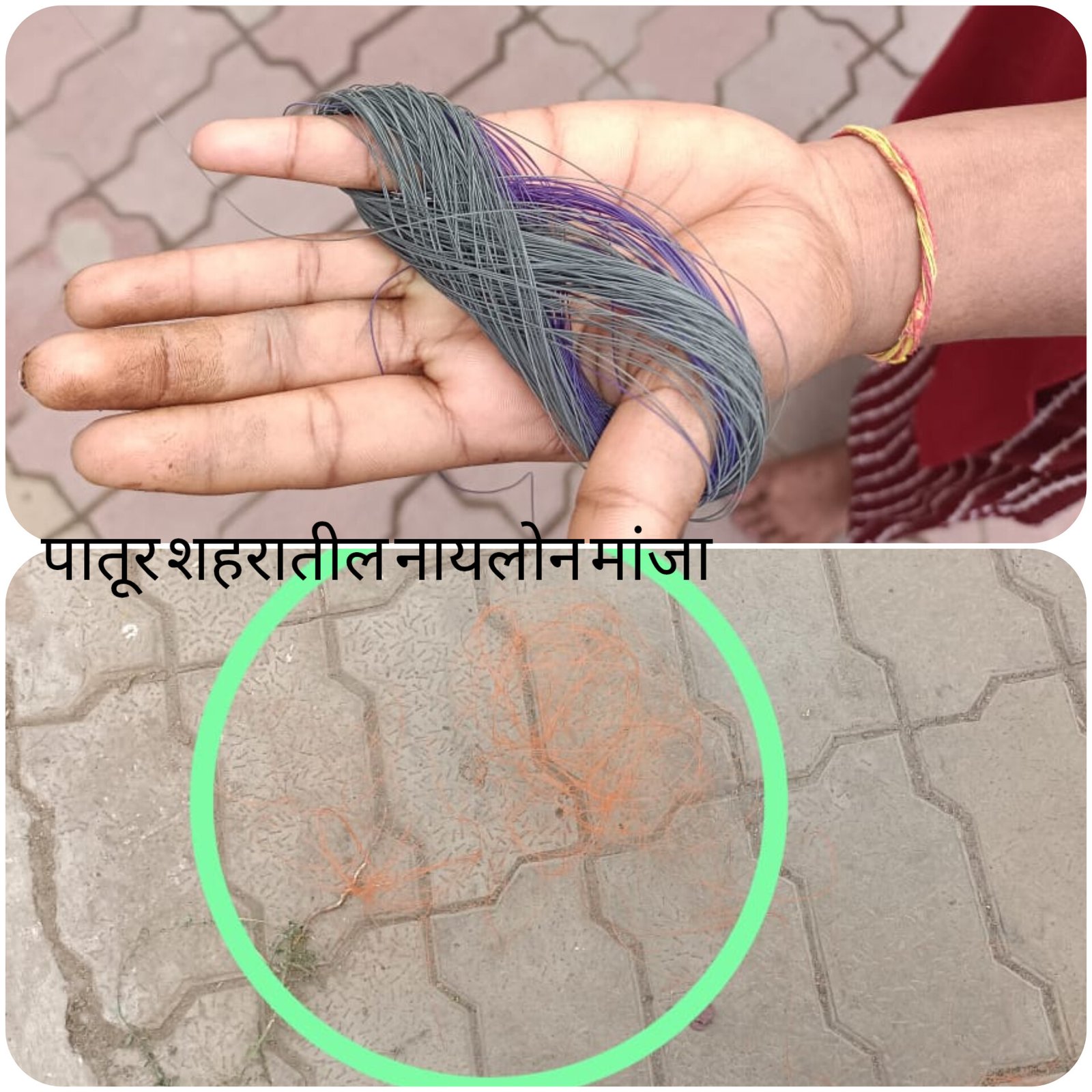 पातुर शहरात नायलॉन मांजाची मोठ्या प्रमाणात विक्री !