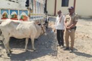 पातूरच्या शेख रफीक शेख चांद यांचे स्तुत्य कार्य