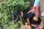 ट्रक आणि ऑटोची भीषण धडकपातूर–बाळापूर रस्त्यावर अपघात; दोन ठार, चार गंभीर जखमी